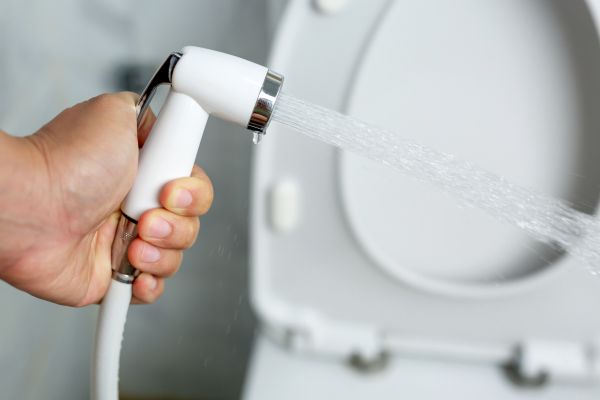 Bidet Installation in Bellingham