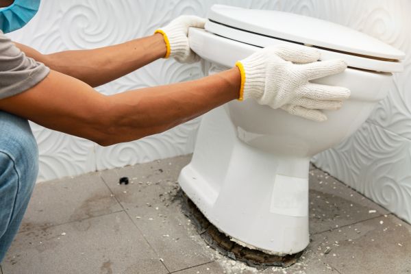 Cost of Toilet Removal in Bellingham