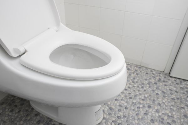 Cost of New Toilet Installation in Bellingham