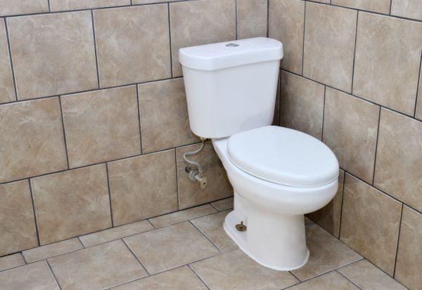 Cost of Basement Toilet Installation in Bellingham