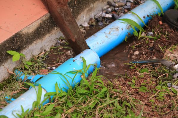 Broken Pipe Replacement in Bellingham