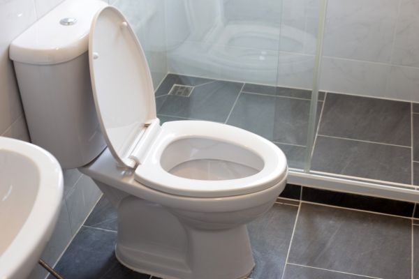 Cost of Water Closet Installation in Bellingham